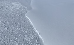 黑龙江水库冰面下现13匹冰冻马 主人：马扎堆喝水落水淹死 ！