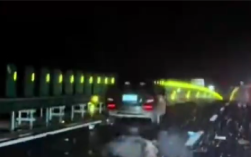 雪天路滑一轿车与黑熊相撞 交警回应：野生动物不受控制不会受罚 !