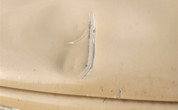 日本北海道一汽车遭熊袭击：引擎盖一巴掌被扇凹陷 !