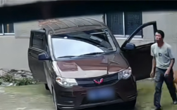 4只狗跑进五菱车内 “开车”撞墙后还有两声喇叭提醒 ！