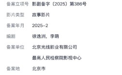 犯罪片《最暖的归途》立项：《第二十条》同编剧 ！