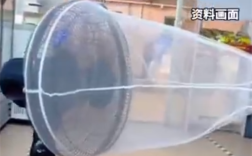 低成本高效灭蚊！女子自制捕蚊器5小时抓五六十只蚊子 ！