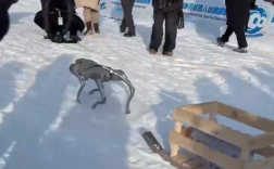 零下20℃极端场景竞技！首届净月机器人冰雪趣味赛来了 ！