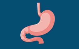 36岁电商女老板王晓析患胃癌去世：没来得及去检查 ！