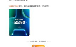 年度双旗舰 真我GT8系列官宣10月发布 !