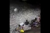 菲律宾现罕见“鱼群涌岸”现象：沙丁鱼扎堆铺满海岸 ！