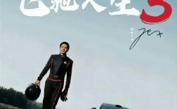 王化否认雷军主演《飞驰人生3》 网传海报为雷军学漂移图片 ！