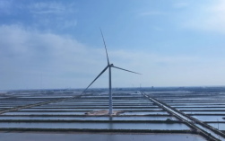 自主研制!全球最大26兆瓦级海上风电机组并网发电 !