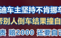 挡路奥迪车主自信帮倒车却撞自己车：被判全责 赔2000 ！