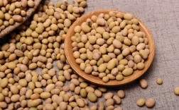 黄豆热量适中（黄豆热量含量适中） ！