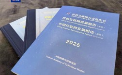 2025互联网蓝皮书今日发布：中国6G专利申请量全球第一 !