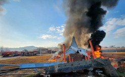 空难致179人死亡 曝韩国济州空难与飞行员错关发动机有关 ！