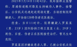 男子因纠纷持刀刺伤女子已被刑拘：涉嫌故意杀人罪 ！