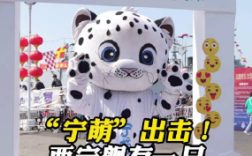 起猛了 052D上居然有只“雪豹” ！你和它合影了吗？