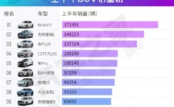2025年上半年SUV中国销量TOP10出炉：特斯拉Model Y夺冠 !