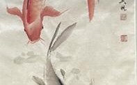 鱼的寓意和象征有哪些（鱼为什么深受古代画家的喜爱） ！
