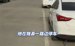 车主吐槽路边停车4分钟被收费2元 客服：按次收费 一天也是2元 ！
