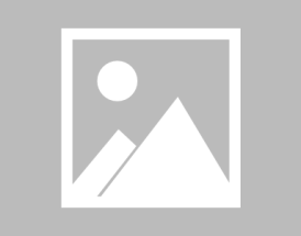 天玑9400+PC级WPS！vivo Pad5 Pro柔光版官宣：移动办公新标杆 ！