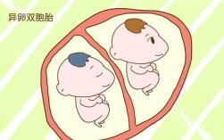 同卵双胞胎和异卵双胞胎的区别（比较同卵双胞胎和异卵双胞胎的区别） ！