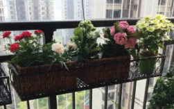 阳台的花长虫了怎么办?