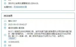深圳一车主1月内5次占用应急车道被拍 罚款1.5万元记30分 ！