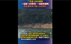 广东多人水库放生小猫 猫入水后溺亡引热议：官方通报 !