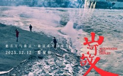 豆瓣评分8.1！贾樟柯执导电影《山河故人》定档12月12日重映 ！
