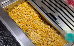 烤肉店用玉米粒当燃料 专家发声：很惋惜 我国粮食还处在紧平衡状态 !