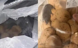 山姆致歉“麻薯盒内有活老鼠”：初步判断在取货点放置期间 被周边虫害偶然侵入所致 ！