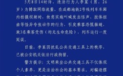 为博流量男子地铁上做怪异行为致3人恐慌受伤 官方通报：拘！