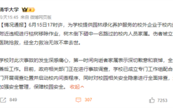 北京语言大学教授张爱玲被树砸身亡 清华大学回应通报 ！
