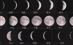 农历和阳历怎么区分（目前国际通用的历法指的是哪个） ！