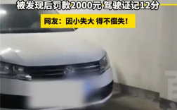 男子网购邻居同号车牌逃费200多元 结果亏大了：罚款2千扣12分 ！