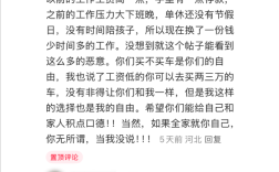 女子回应月薪2000买车月供1840：我有存款 利息就够交车险 !