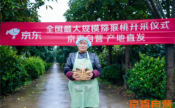 京东京喜自营：一年新增1.5亿用户 交易额暴涨10倍 !