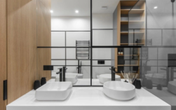 卫生间的黑色线虫是什么虫?