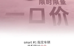 14.99万起买奔驰！smart精灵#1/3推限时限量一口价 ！