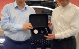 信阳文新毛尖董事长刘文新喜提仰望U8L 比亚迪王传福亲自交车 !
