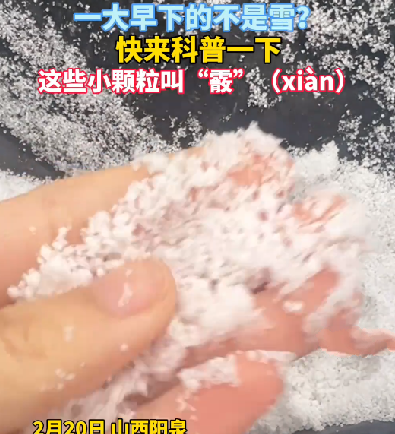 河南河北山西多地下“霰”：形状似米粒大小 ！-图1