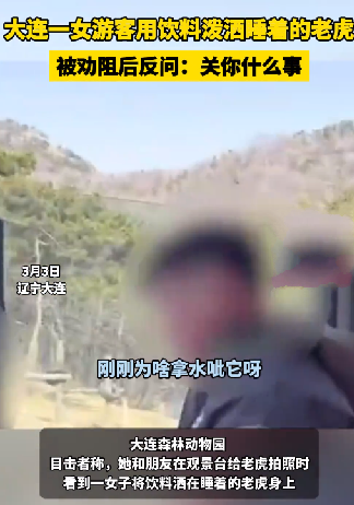 游客多次向老虎身上滋饮料：旁人上前劝阻被怼 ！-图1