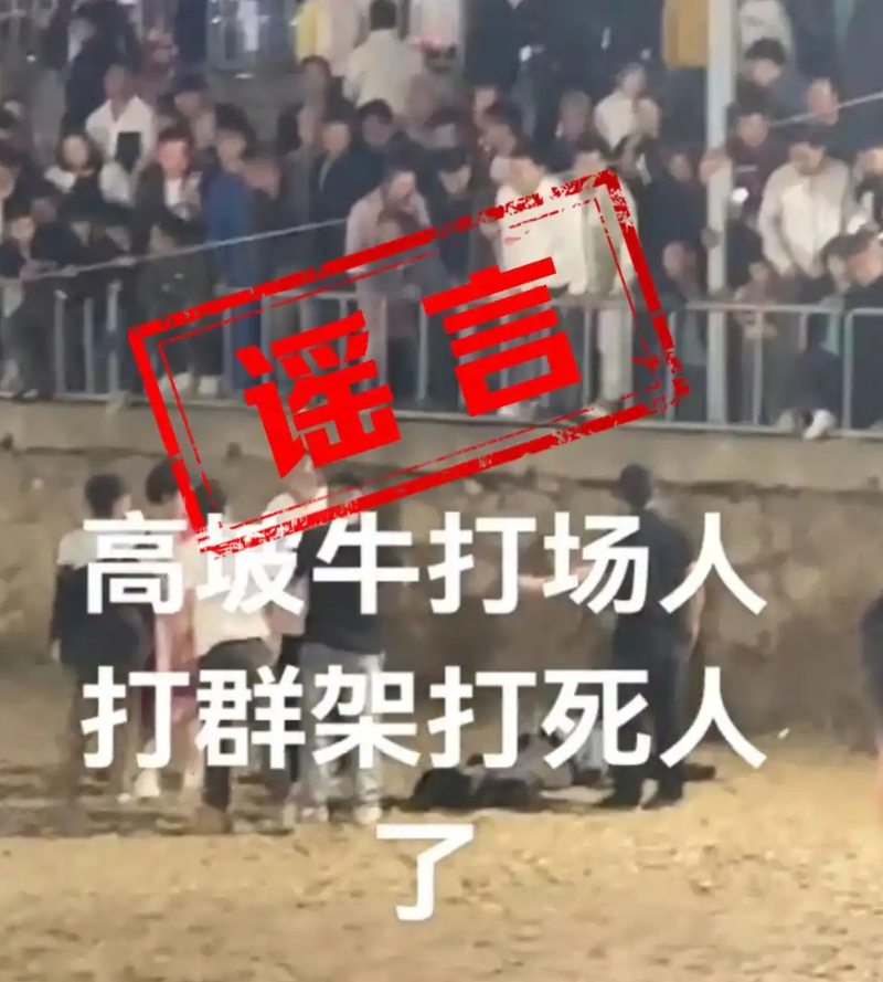 斗牛比赛现场冲突致人死亡?不实，只是双方发生了点小冲突 ！-图1