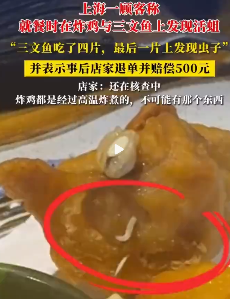 网友称在上海一日料店里吃出活蛆！店家回应：还在核查中 ！-图1