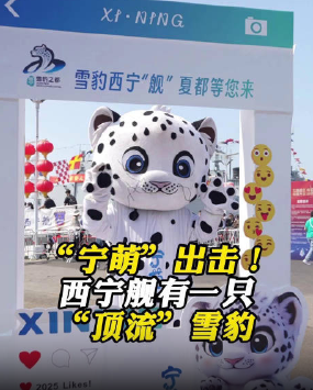 起猛了 052D上居然有只“雪豹” ！你和它合影了吗？-图1
