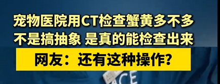 蟹黄多不多都用CT检查了！宠物医院回应：不是搞抽象 真能查出来 !-图1